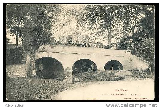 81 SALVAGNAC / Le Pont / - Salvagnac
