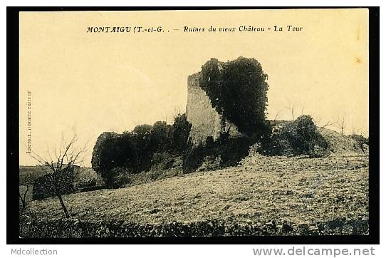 82 MONTAIGU DE QUERCY / Ruines Du Vieux Château / - Montaigu De Quercy