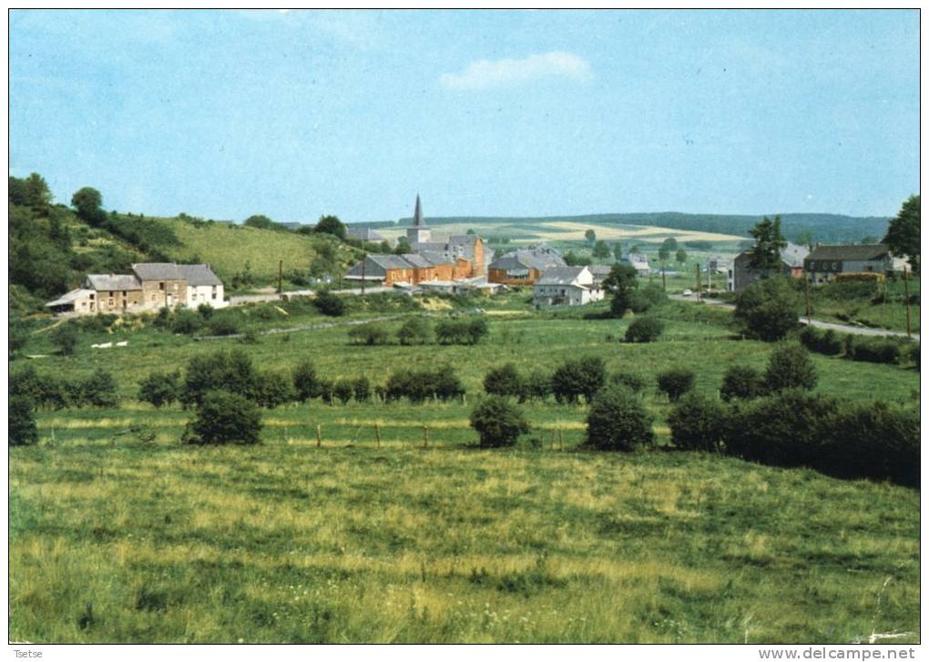 Willerzie - Superbe Panorama De La Localité - Carte Moderne - Gedinne