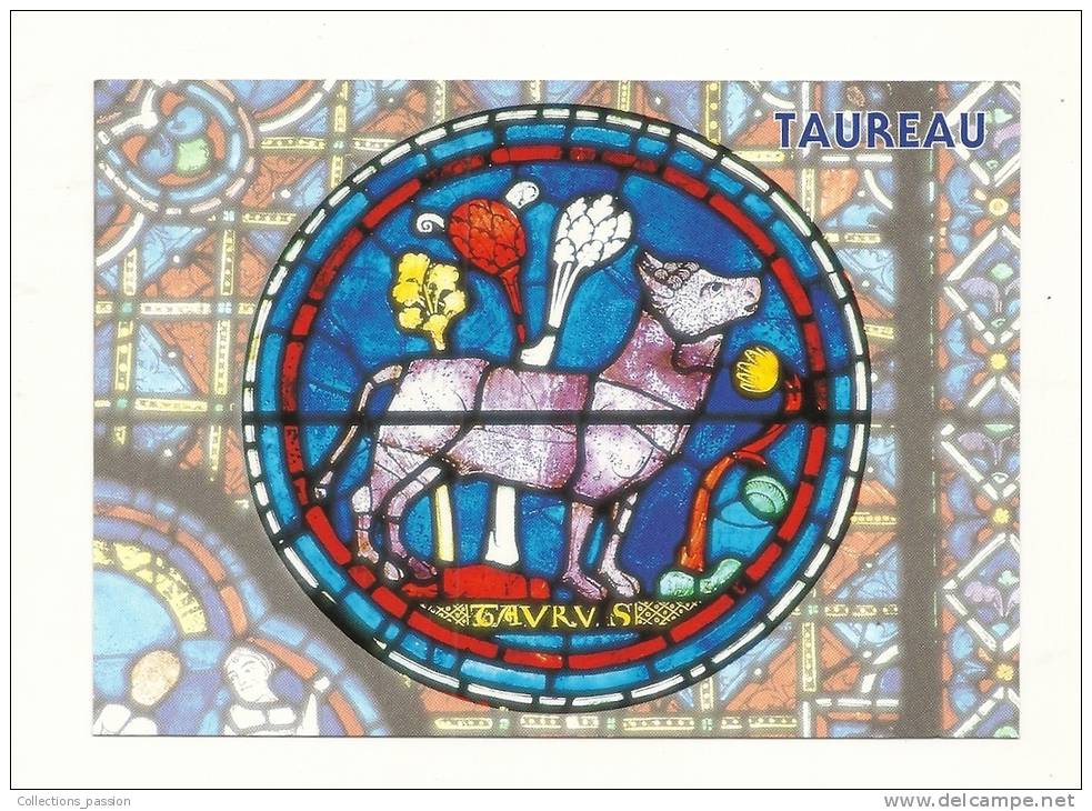 Cp, Signe Du Zodiaque, Taureau - Détail D´un Vitrail De La Cathédrale De Chartres - Astronomie