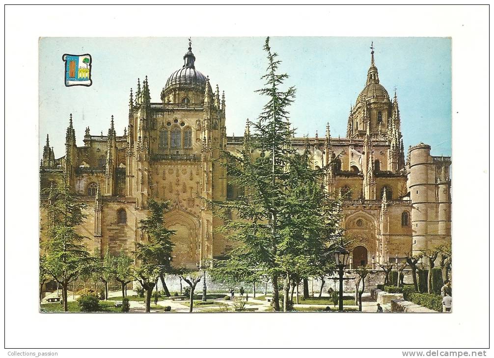 Cp, Espagne, Salamanca, Catedral Nueva, Voyagée 1994 - Salamanca