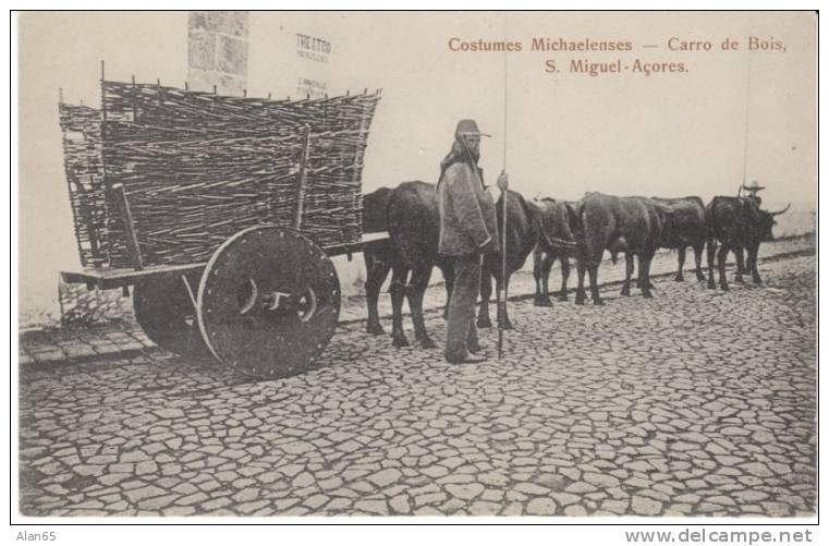 S. Miguel Azores Acores, Michaelenses Costume Fashion, Carro De Bois Wood Wagon, C1900s Vintage Postcard - Açores