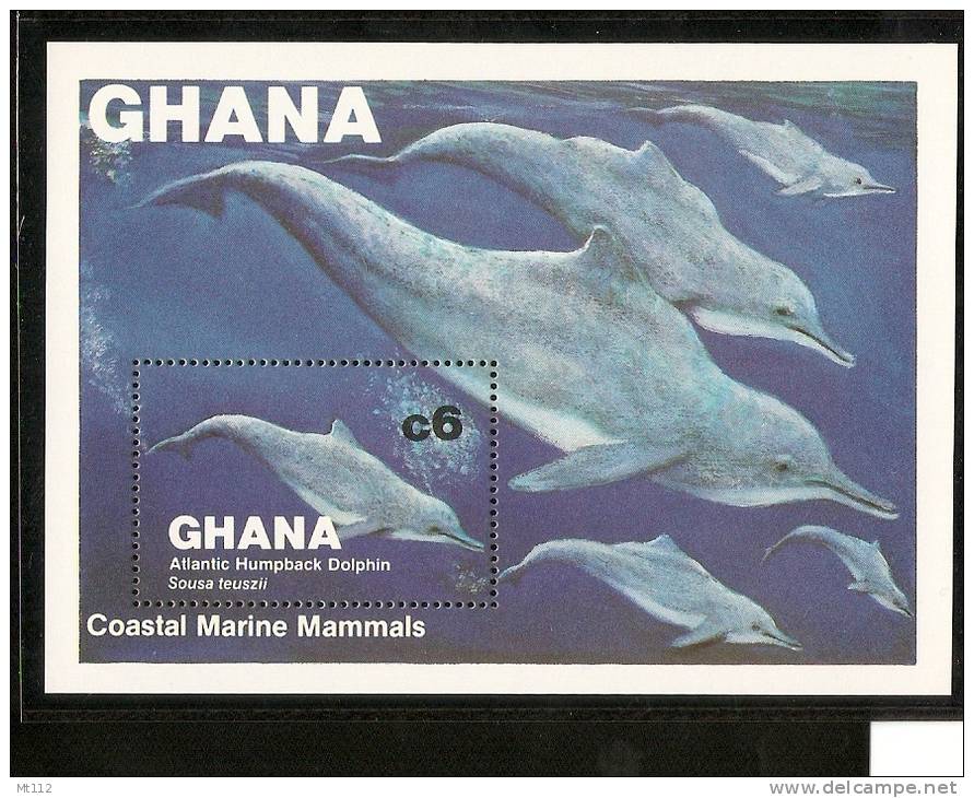 GHANA ~ 1983 Whales . Dolphins  S/S - Dolphins