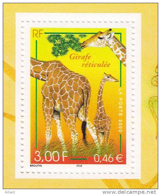 France. 2000. Girafe. - Girafes