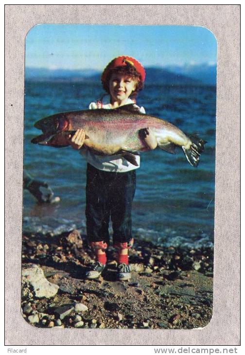 29470    Stati  Uniti,  Idaho,  Sandpoint,  Champion  28 Kamloops Trout  From  Lake Pend  Oreille,  NV (scritta) - Sonstige & Ohne Zuordnung