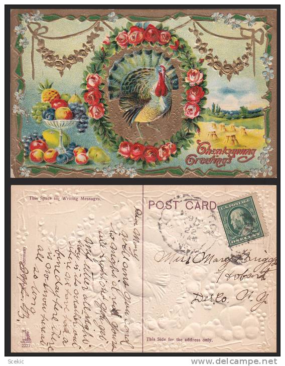 THANSKSGIVING GREETINGS TURKEY EMBOSSED OLD POSTCARD - D22865 - Giorno Del Ringraziamento