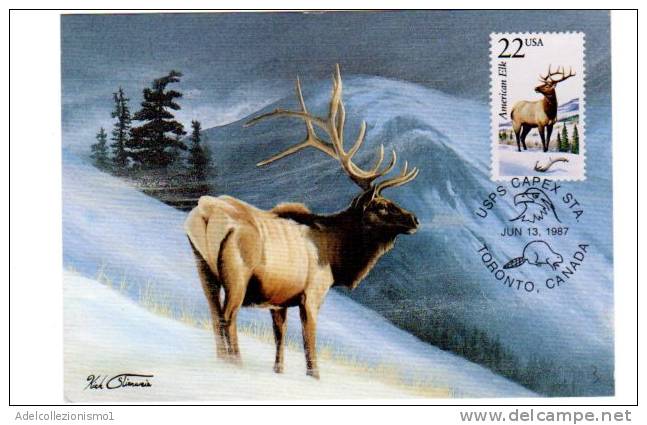 64530)cartolina Illustratoria F.d.c. Americana Utah , Elk. - Autres & Non Classés