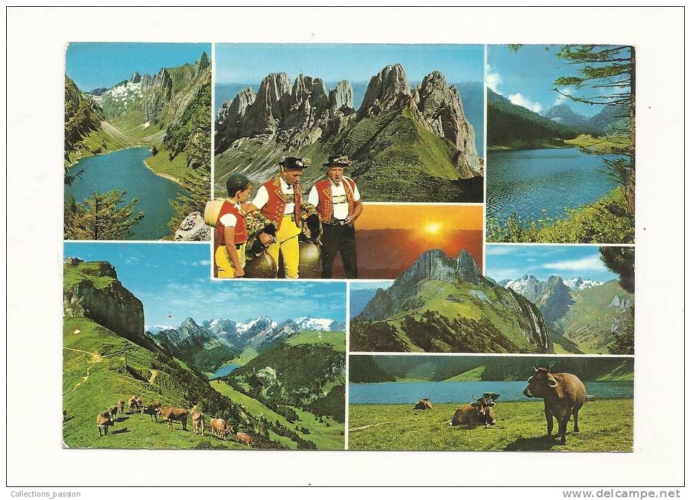 Cp, Suisse, Im Alpstein, Multi-Vues, Voyagée 1976 - Stein