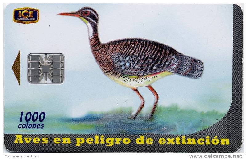 Lote TTE56, Costa Rica, Tarjeta Telefonica, Phone Card, Garza Sol, Ave, Bird, Used, Not Perfect Card - Costa Rica