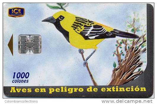 Lote TTE57, Costa Rica, Tarjeta Telefonica, Phone Card, Chorcha, Ave, Bird, Used, Not Perfect Card - Costa Rica