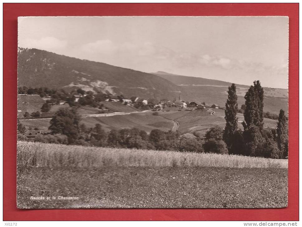 P1037 Vue Générale De Rances Et Le Chasseron, Champ De Blé Au Premier Plan.Circulé Sous Enveloppe En 1950 - Premier