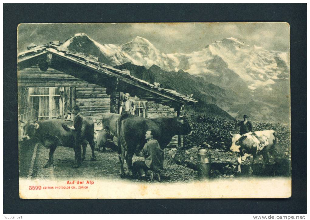 SWITZERLAND  -  1907  Alpine Scene  Used Postcard As Scans - Sonstige & Ohne Zuordnung