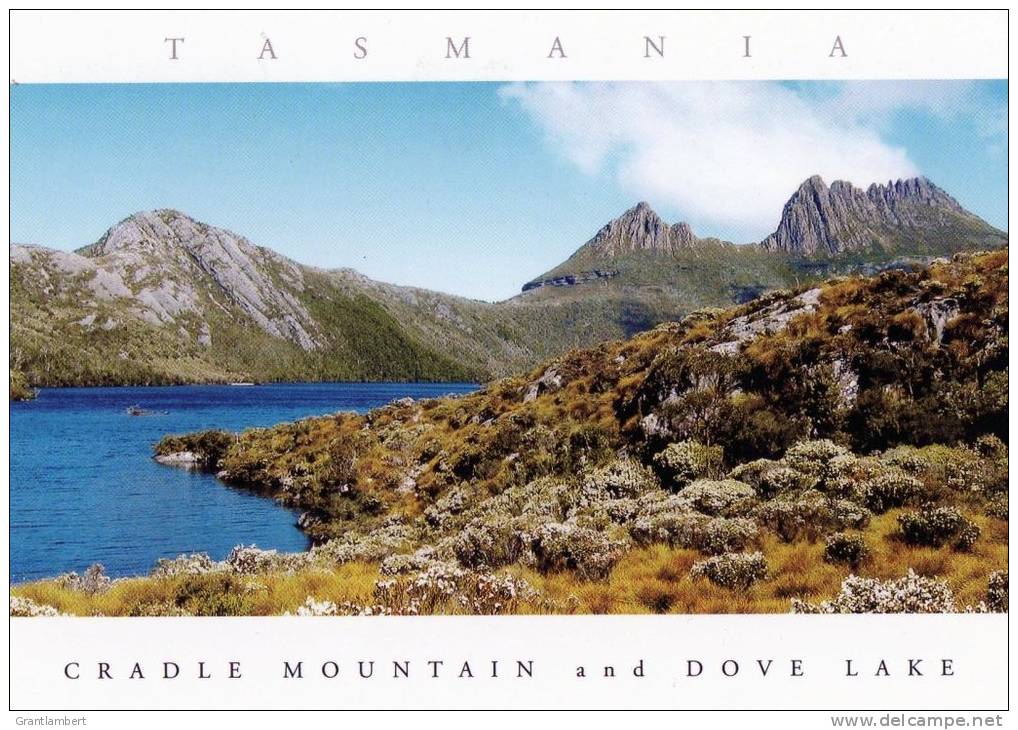 Tasmania - Cradle Mountain &amp; Dove Lake, Unused - Tas. Postcards &amp; Souvenirs - - Wilderness