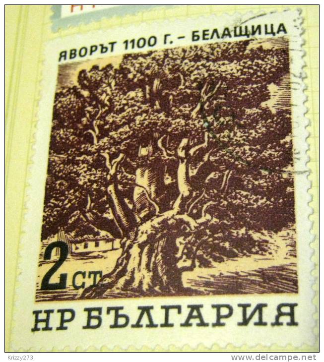 Bulgaria 1964 Ancient Trees 500 Year Old Walnut 2s - Used - Usados