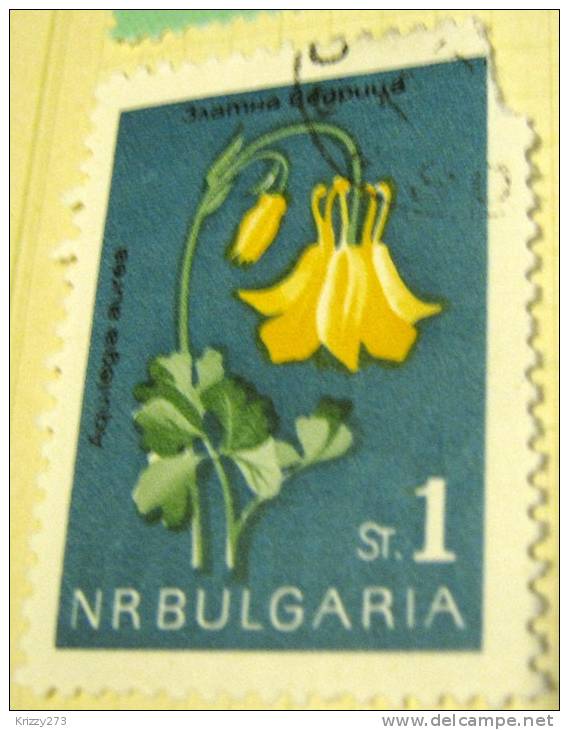 Bulgaria 1963 Native Flowers Aquilegia Aurea 1s - Used - Usados
