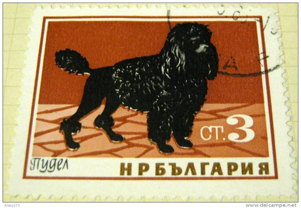 Bulgaria 1964 Poodle 3s - Used - Usados