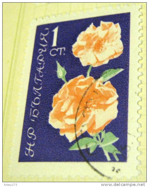 Bulgaria 1962 Roses 1s - Used - Usados