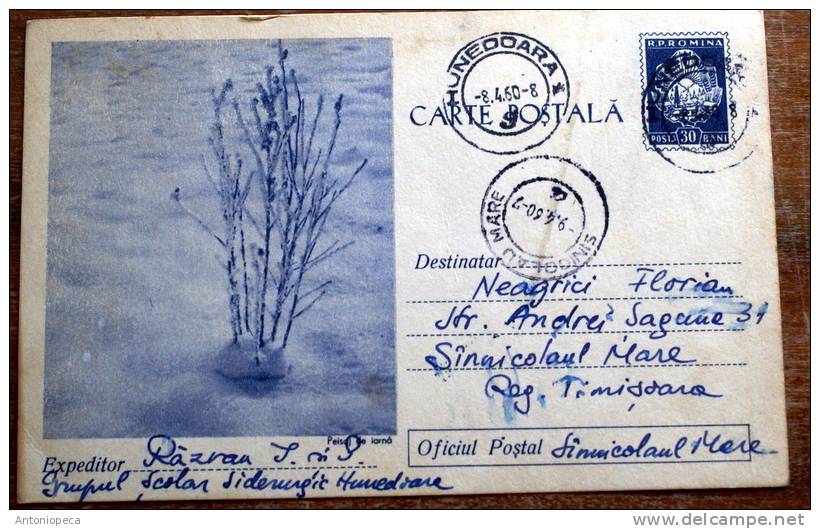 ROMANIA 1960 CARTE POSTALE ARTISTIQUE - Poststempel (Marcophilie)