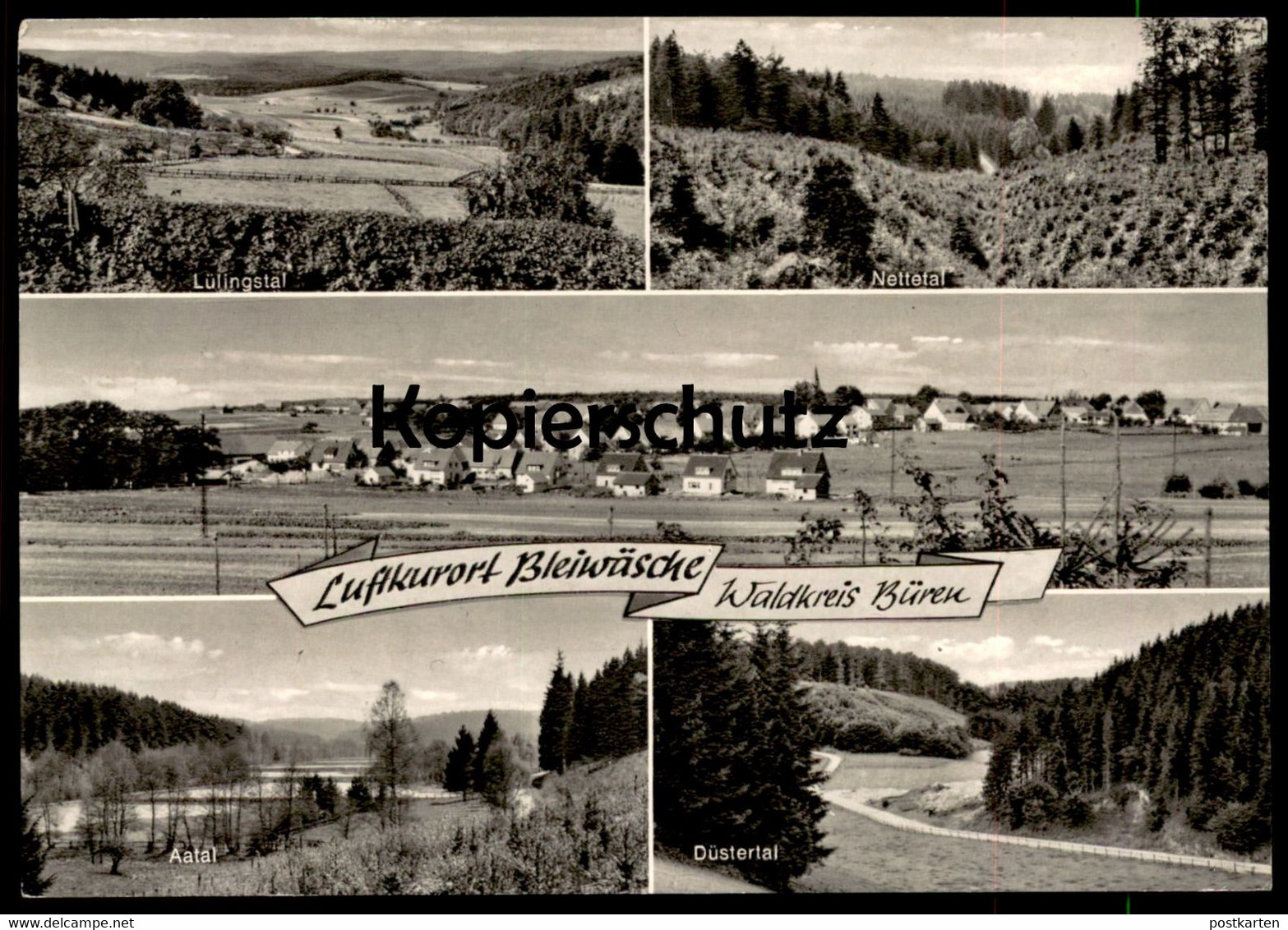 ÄLTERE POSTKARTE BLEIWÄSCHE WALDKREIS BÜREN NETTETAL AATAL DÜSTERTAL LÜLINGSTAL BAD WÜNNENBERG Ansichtskarte AK Postcard - Bad Wünnenberg