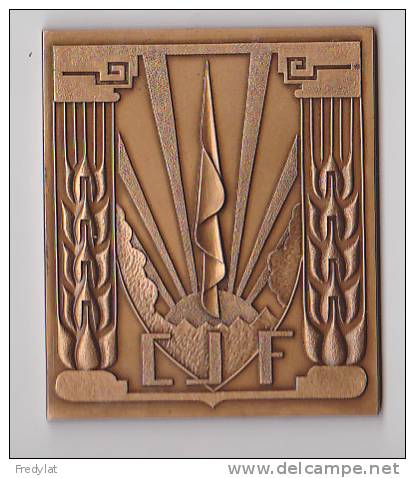 MEDAILLE CHANTIER DE LA JEUNESSE FRANCAISE 1940  1944    A.N.A.C.J.C.F  SUPER ETAT - Autres & Non Classés