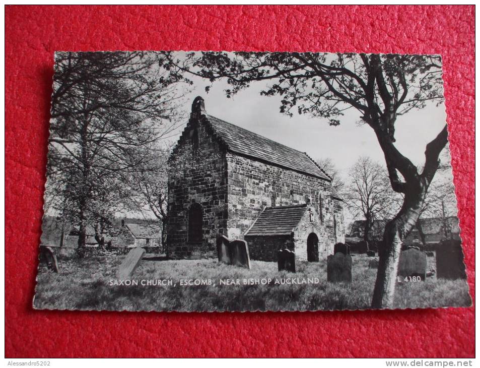 New Zealand , Near Auckland - Escomb Saxon Church Rppc++++++ - New Zealand