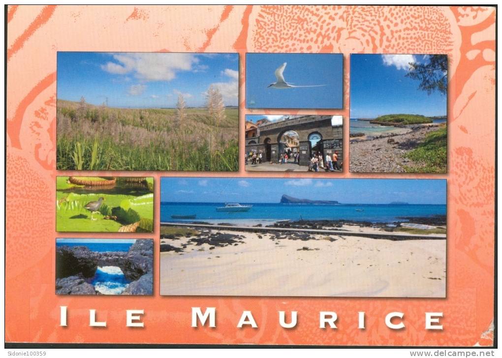 Carte Postale Ile Maurice (Paysages Typiques) - Mauritius
