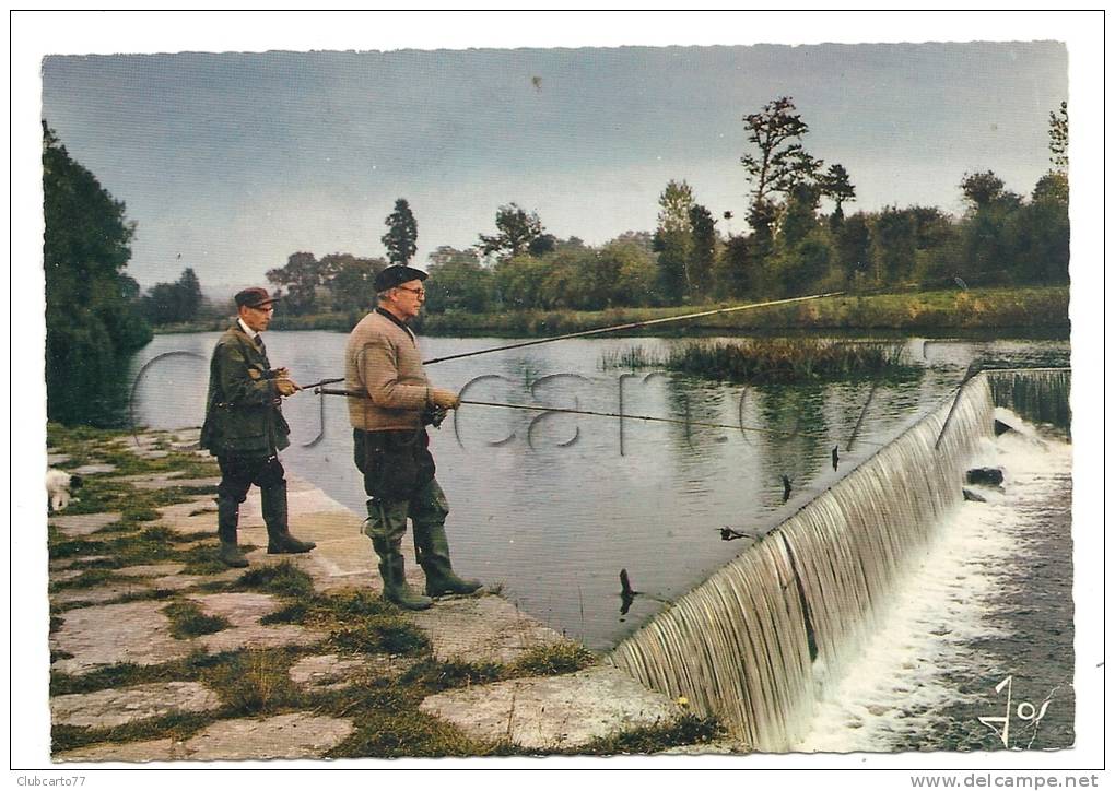 Chateauneuf-du-Faou à Chateaulin 29) : GP De Pêcheurs à La Ligne Près D'un Déversoir En 1970 (animée).. - Châteauneuf-du-Faou