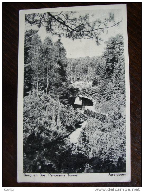 APELDOORN - Berg En Bos - Panorama Tunnel - Verzonden 1954 - Lot 169 - Apeldoorn