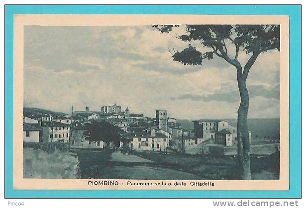 PIOMBINO PANORAMA VEDUTO DALLA CITTADELLA CARTOLINA FORMATO PICCOLO NON VIAGGIATA - Livorno