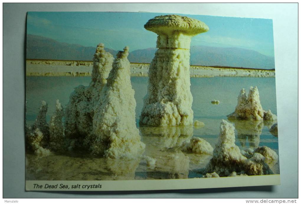 The Dead Sea, Salt Crystals - Giordania