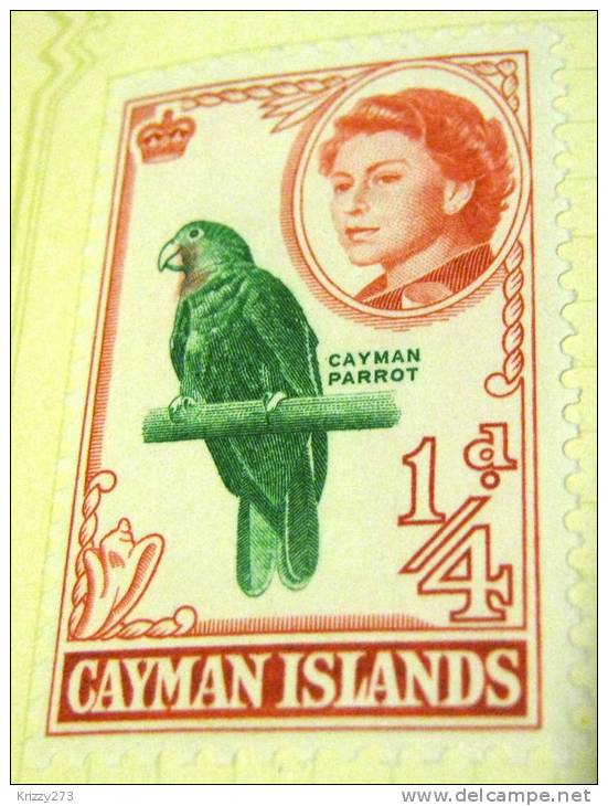 Cayman Islands 1962 Cayman Parrot 0.25d - Mint - Caimán (Islas)