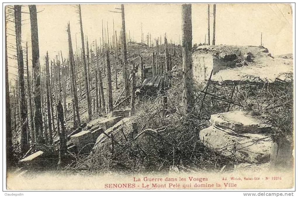 Senones (Vosges). La Guerre Dans Les Vosges. Mont Pelé Qui Domine La Ville. CPA - Senones