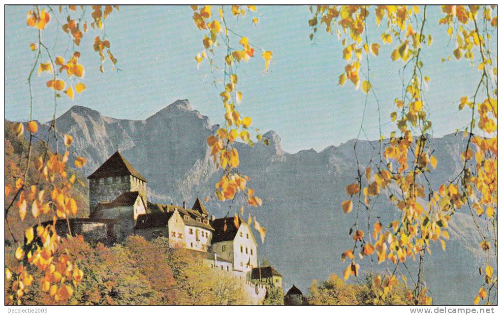 ZS33916 Schloss Vaduz Furstentum   Used Perfect Shape Back Scan At Request - Liechtenstein