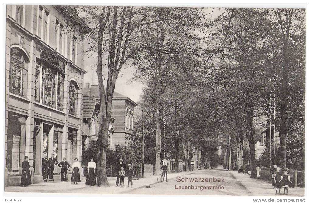 Schwarzenbeck Lauenburg Er Strasse Belebt TOP-Erhaltung Ungelaufen - Schwarzenbeck