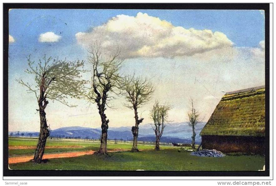 Auf Der Nollendorfer Höhe , Naklé&#345;ov  ( Nähe Erzgebirge ) -  Ansichtskarte Ca.1926    (1201) - Böhmen Und Mähren