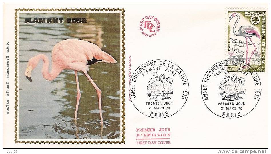 FDC  France 1970: Flamant Rose - Flamants