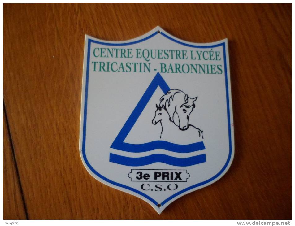 INSIGNE DE CONCOUR HYPPIQUE CHEVAL CENTRE EQUESTRE  TRICASTIN BARONNES LYCEE3EM PRIX C S O - Ruitersport