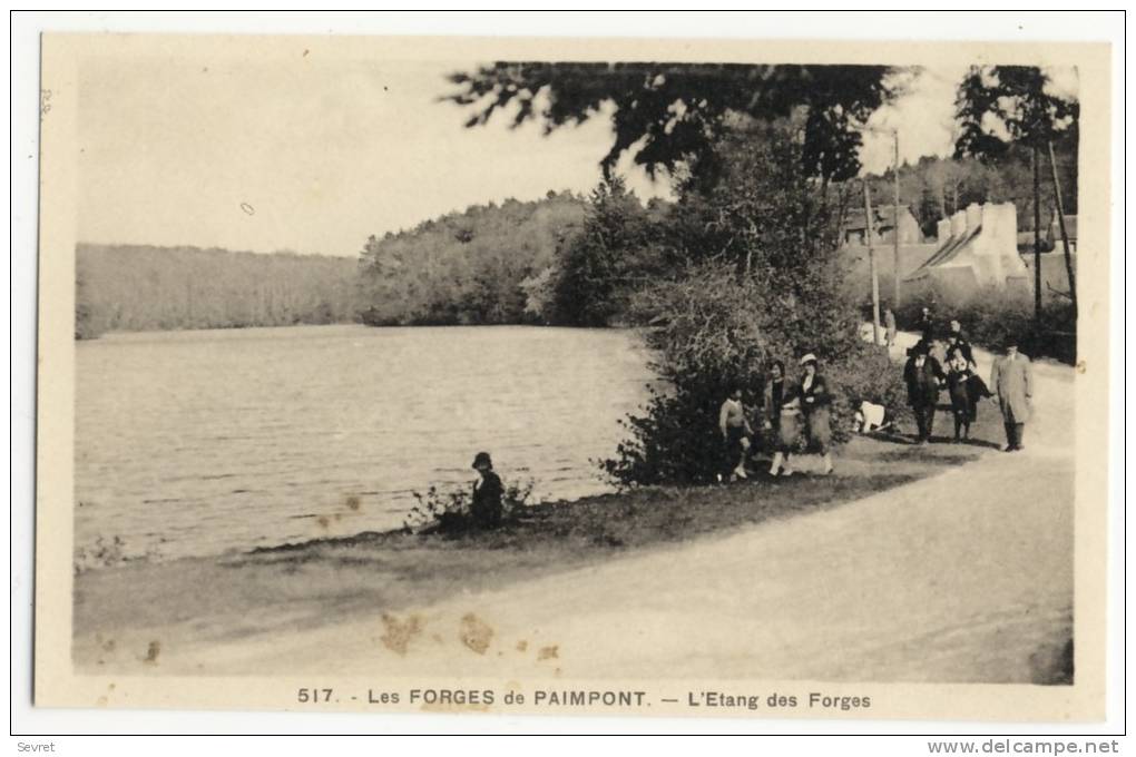 PAIMPONT. - L´Etang Des Forges. Animation - Paimpont