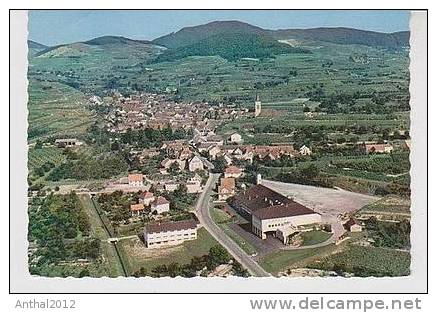 AK Flugzeugaufnahme Weinkellerei Winzerkeller Oberrotweil Kaiserstuhl 60er - Kaiserstuhl