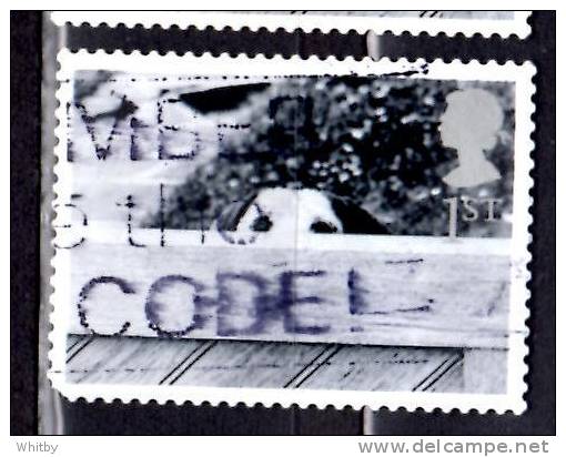 Great Britain 2001 1 St	Dog Looking Over Fence Issue  #1960 - Non Classificati