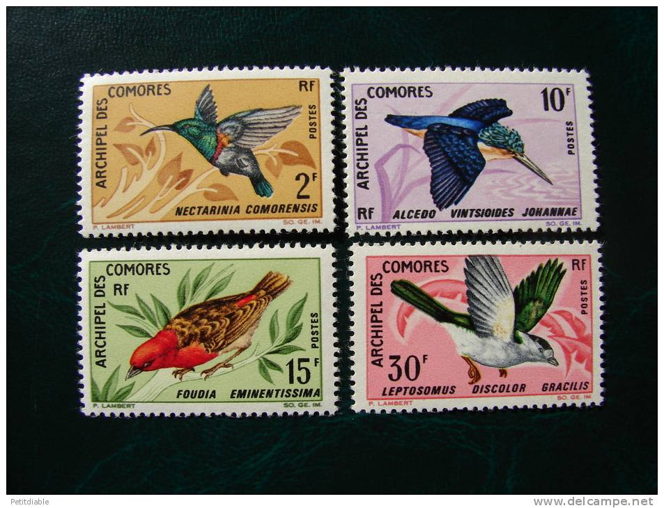 COMORES - N° 41/44 - YT - 1967 - Oiseaux. - * - TTB - Unused Stamps
