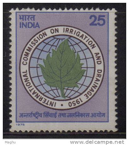 India MNH 1975, International Commission On Irrigation &amp; Drainage, - Nuovi