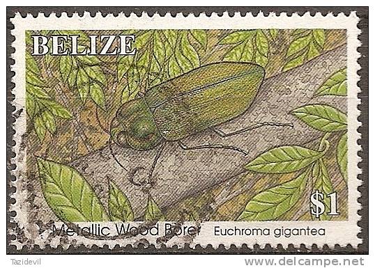 BELIZE - 1995 $1.00 Insect. Scott 1043. Used - Belize (1973-...)