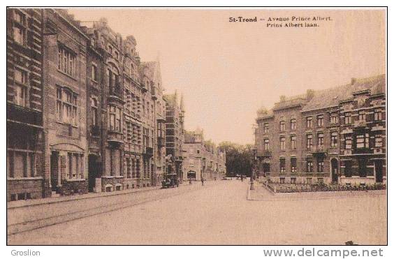 ST TROND AVENUE PRINCE ALBERT . PRINS ALBERT LAAN - Sint-Truiden