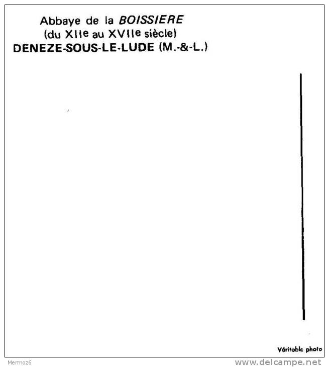 Deneze Sous Le Lude Abbaye De La Boissiere Mp Vue Generale - Autres & Non Classés