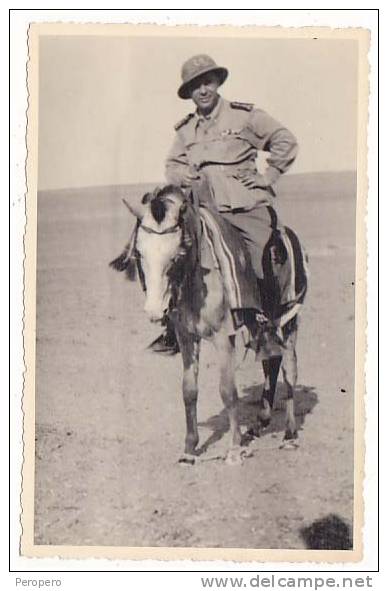 Libya  ITALIAN  MILITARY     SOLDIERS  Photo Pc        Old Postcard - Libyen