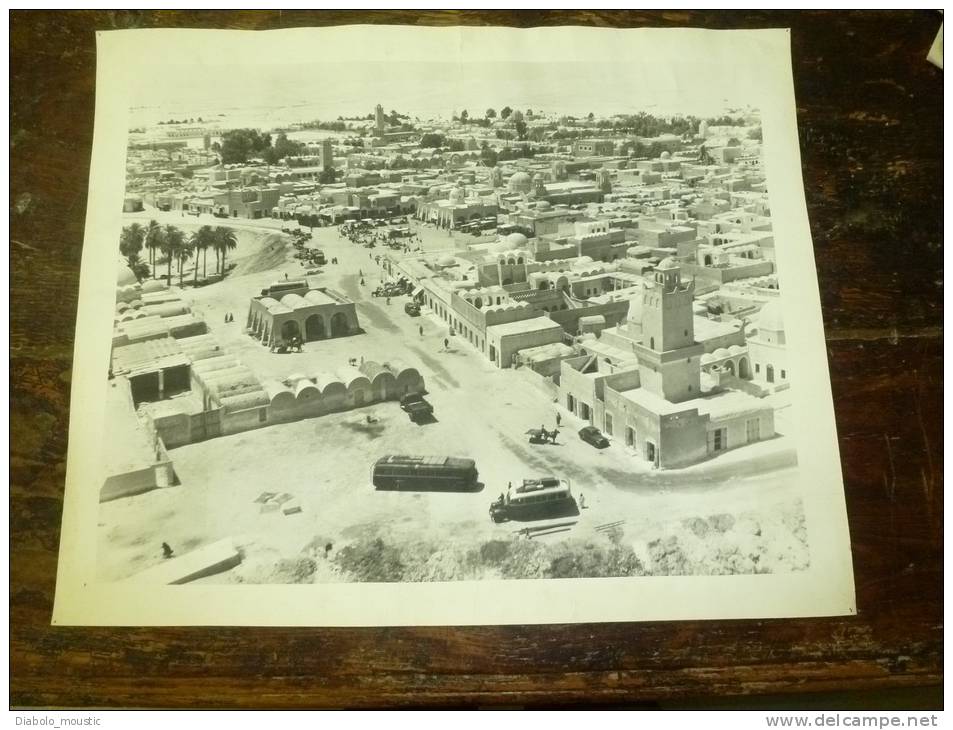 Rare Grande Photographie Ancienne, D´Afrique Nord ( à Définir) Dimension Hors-tout 58cm X 47cm ..véhicules Auto Et Hippo - Afrique