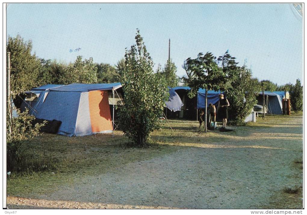 MARSEILLAN -PLAGE - Camping Beauregard - ( Tentes - Camping ) Carte Grand Format - Marseillan