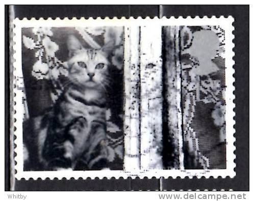 Great Britain 2001 1st Cat In Window Issue #1959 - Zonder Classificatie