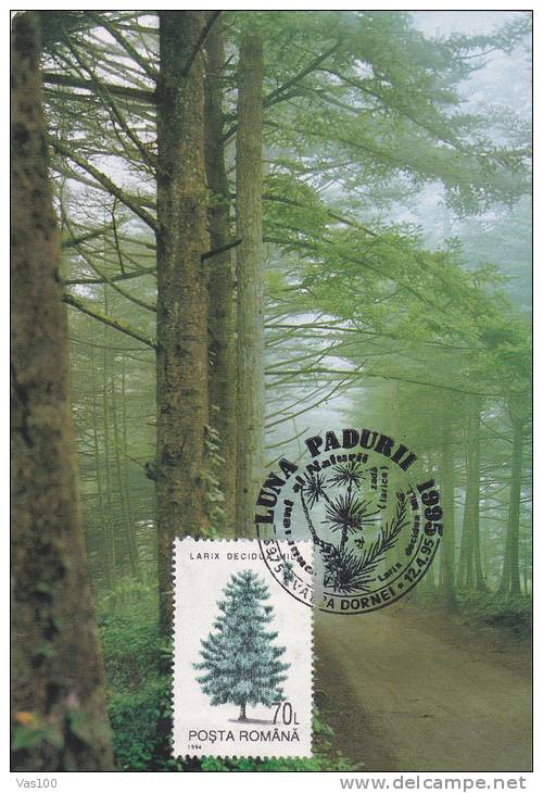 FOREST MONTH, TREES, 1995, CM. MAXI CARD, CARTES MAXIMUM, ROMANIA - Alberi